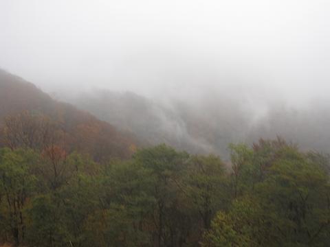 a0081772_16355814.jpg