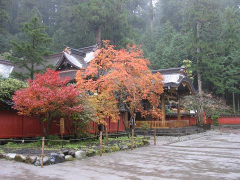 a0081772_16451615.jpg