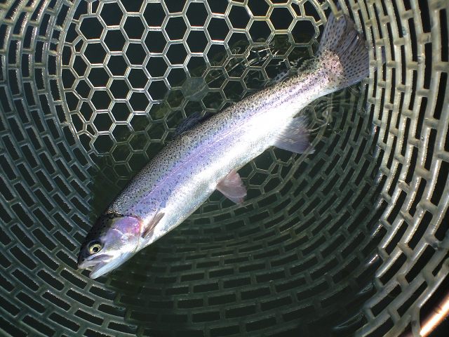 a0093677_23185884.jpg