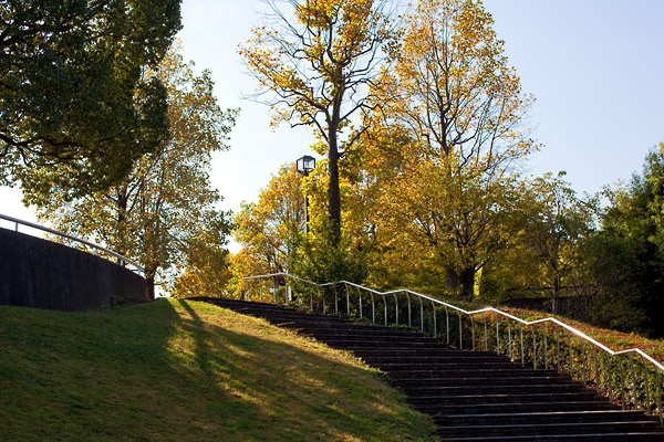d0089281_2455250.jpg