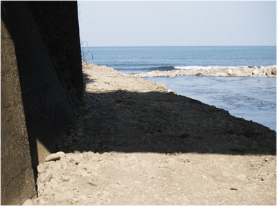 c0145183_7295216.jpg