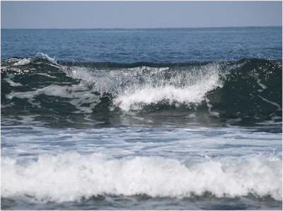 c0145183_7321643.jpg