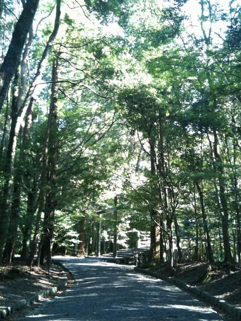e0159287_0285324.jpg