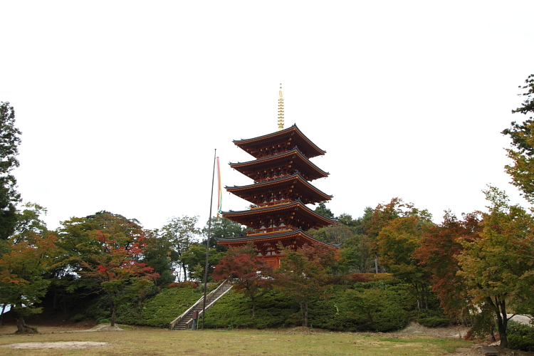 e0051888_1555032.jpg