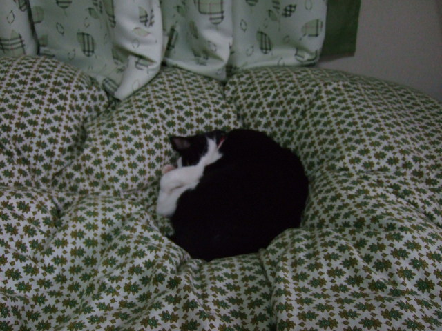c0150193_1337449.jpg