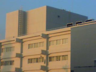 d0133693_6183825.jpg