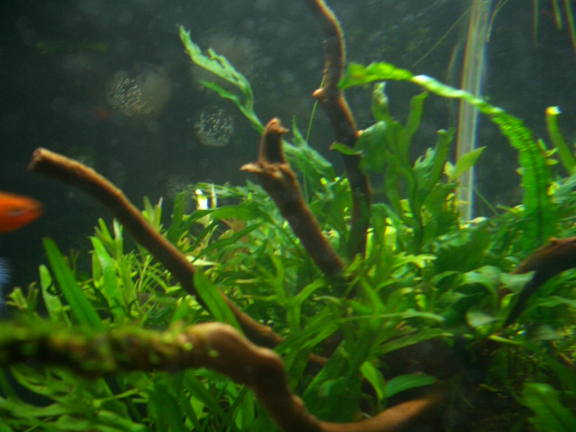 c0209896_22283068.jpg