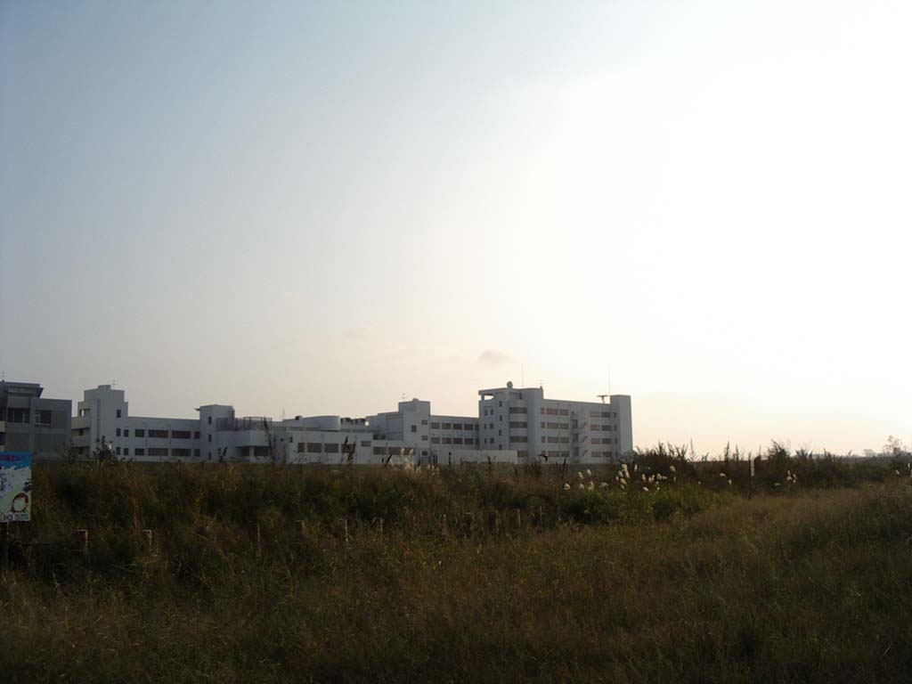 a0133999_20551340.jpg