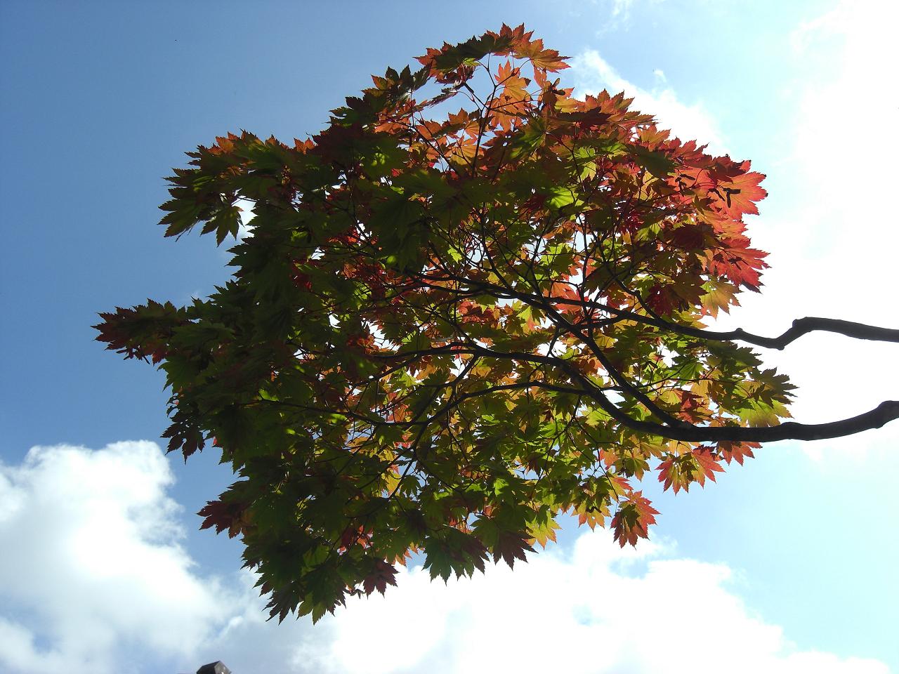 b0023799_15113278.jpg
