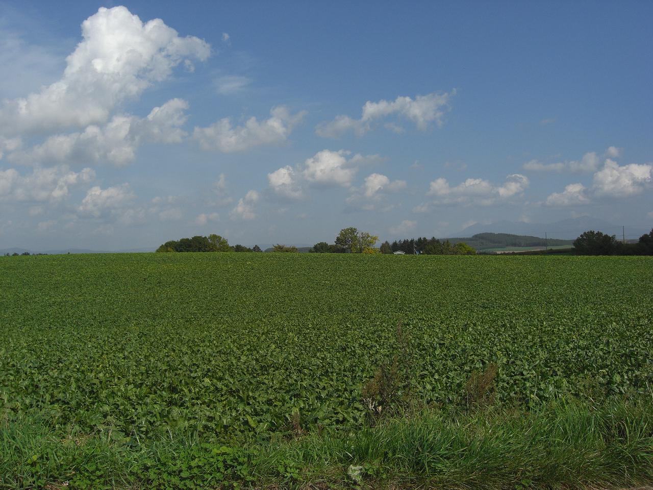 b0023799_1518725.jpg