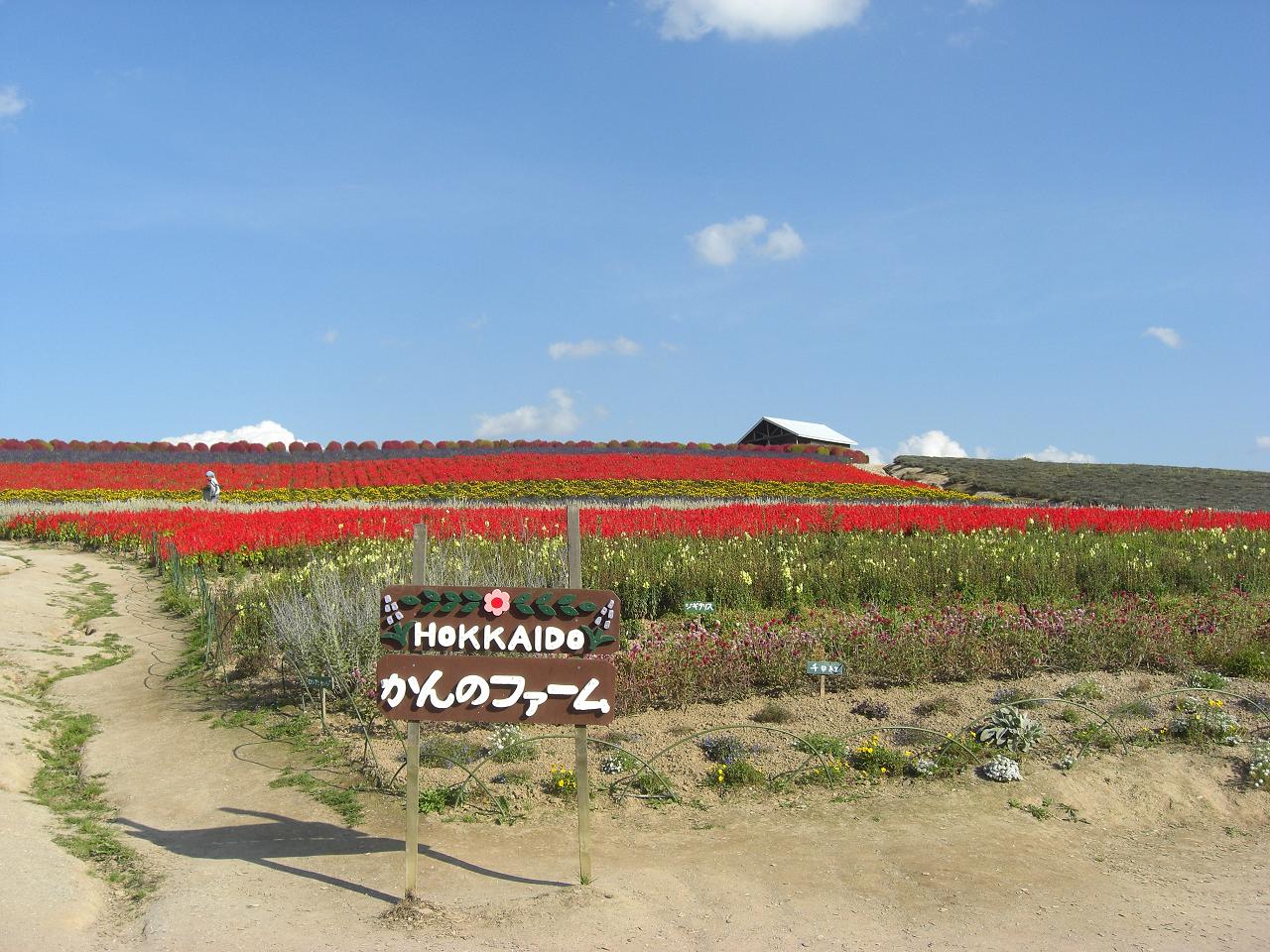 b0023799_15231752.jpg