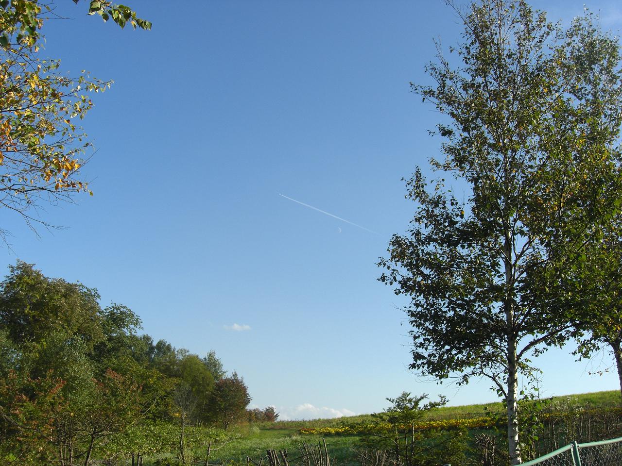 b0023799_1532227.jpg