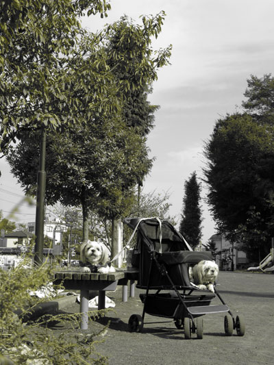 c0011204_2104745.jpg