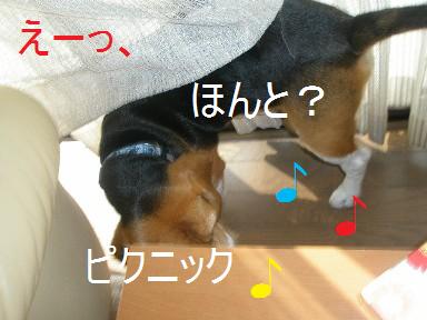 c0205806_15231212.jpg