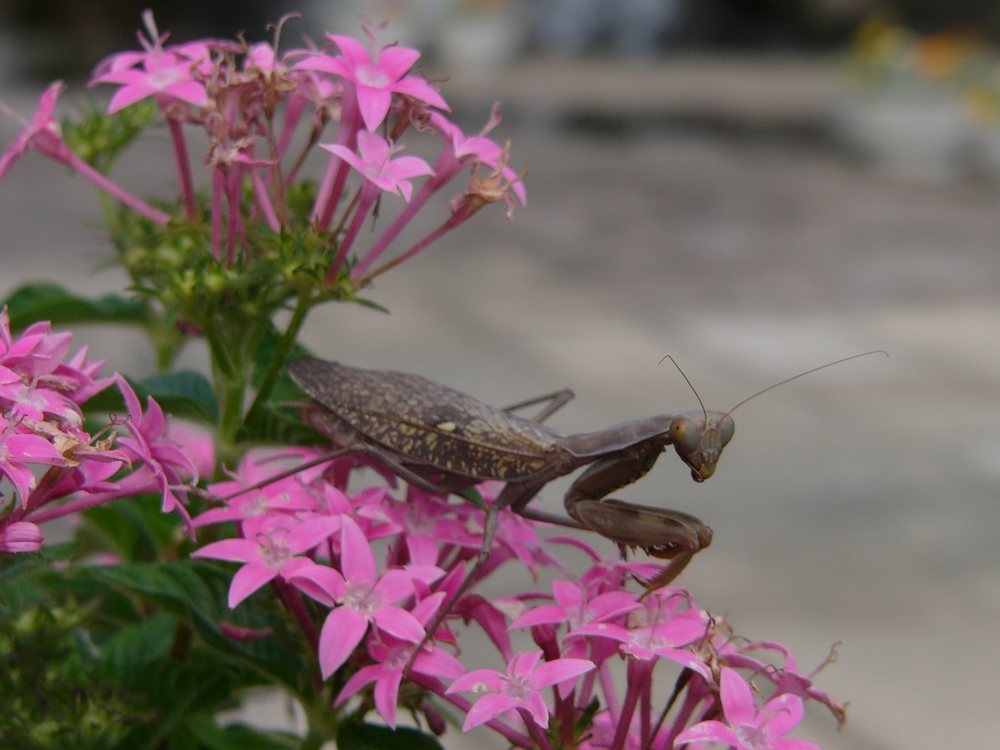 c0062511_0273644.jpg