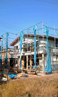 c0022913_20415131.jpg
