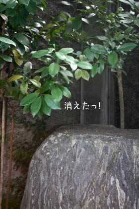 e0156015_1364822.jpg