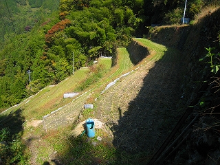 e0002820_98151.jpg