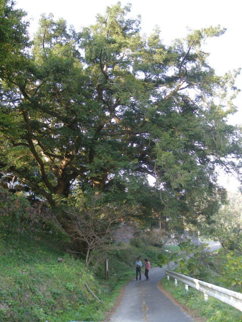 c0212823_18215560.jpg
