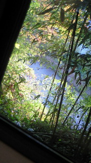 f0176526_77381.jpg