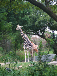 c0188928_227367.jpg