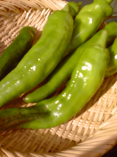 c0059529_1473332.jpg