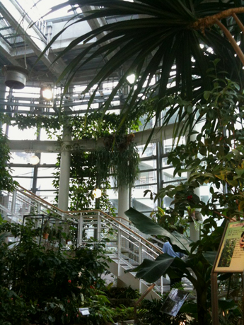 d0008832_2453393.jpg