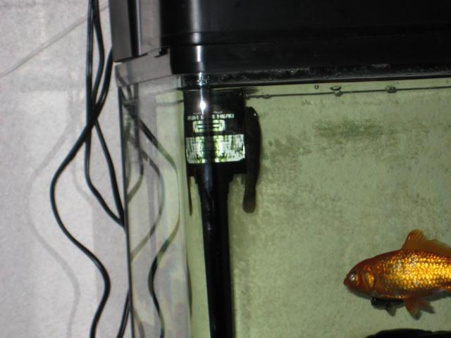 e0166032_18195580.jpg