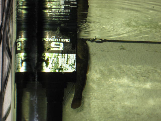 e0166032_18204319.jpg
