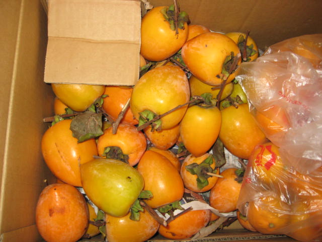 e0166032_1832370.jpg