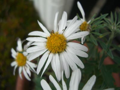 e0110940_22461151.jpg
