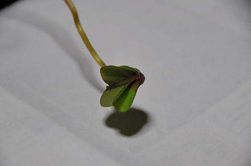 f0094843_2328236.jpg