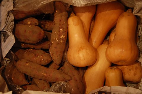 a0043747_1522613.jpg