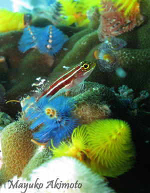 e0027447_17372850.jpg