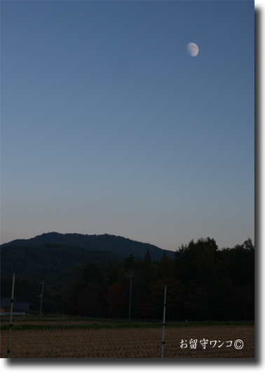 f0111147_1145410.jpg