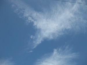 e0121548_20432433.jpg