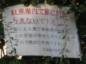 e0121548_2125352.jpg