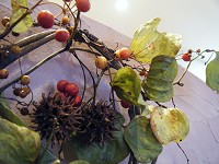 e0175148_16575366.jpg