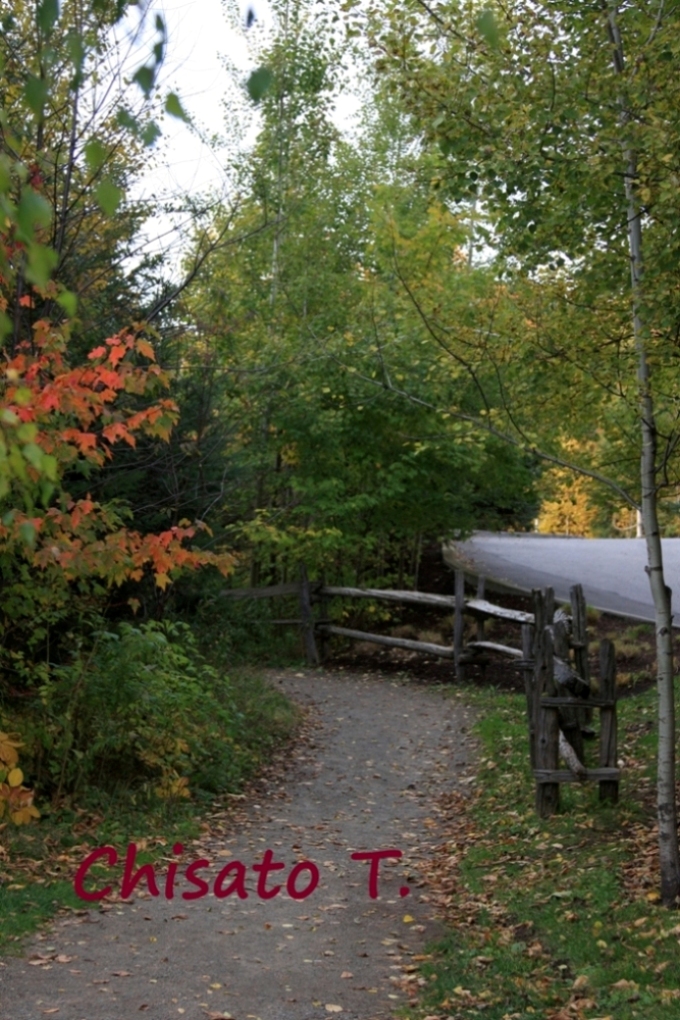 c0163751_11452116.jpg
