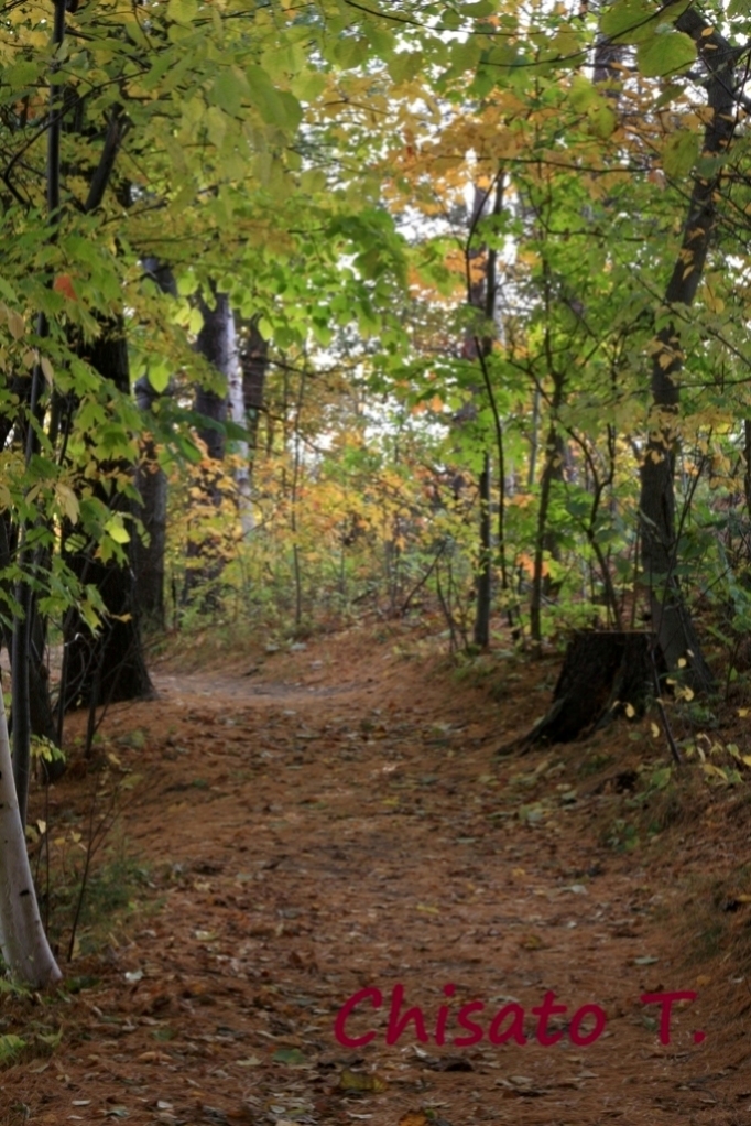 c0163751_1254661.jpg