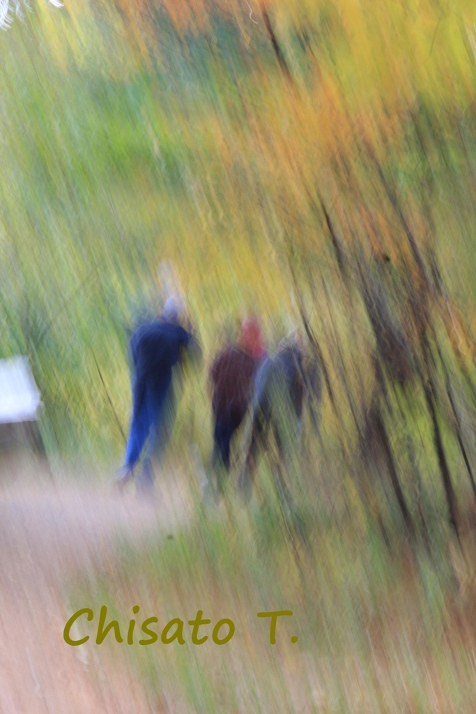 c0163751_126123.jpg