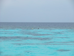 f0190653_8592626.jpg