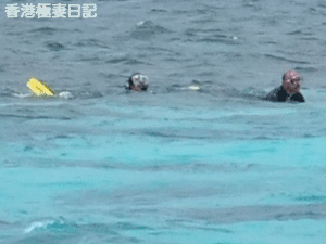 f0190653_8593897.gif