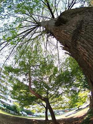 b0180764_013368.jpg