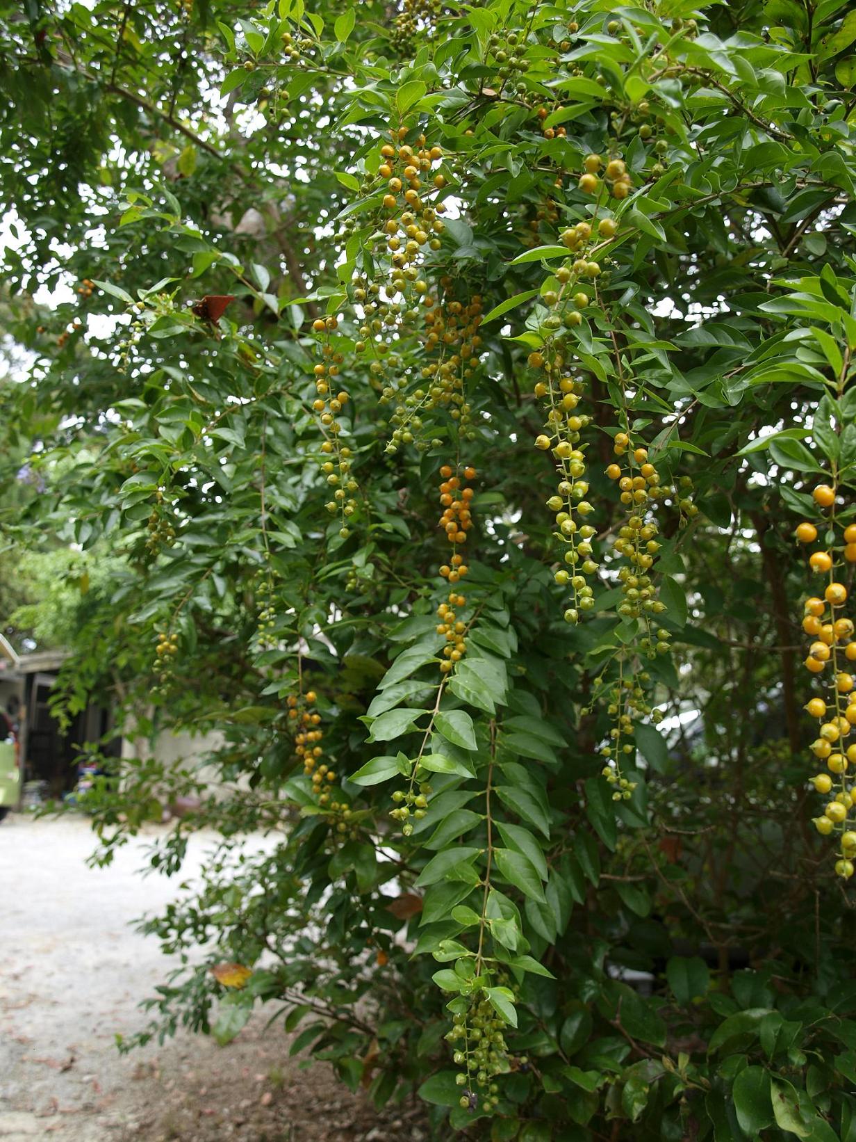 b0138768_022211.jpg