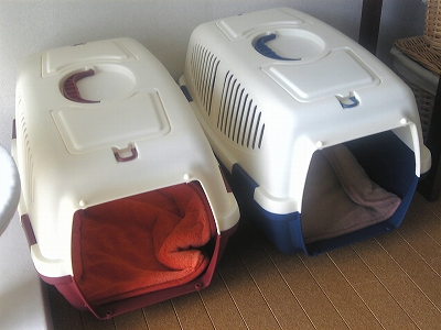 c0023170_11274853.jpg