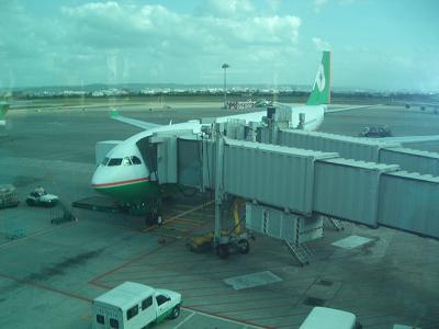c0098871_1442328.jpg