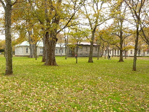 d0084473_22323832.jpg
