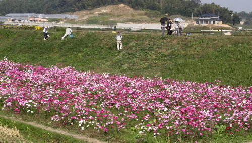 f0181173_1259871.jpg