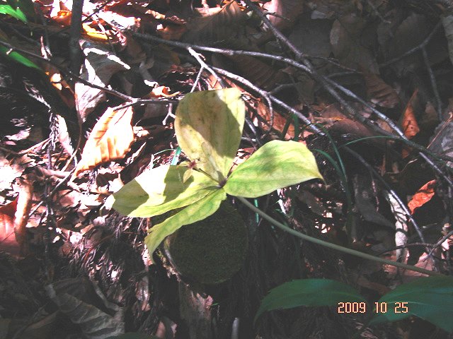 f0104277_7134186.jpg